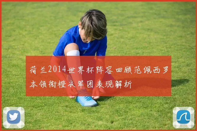 荷兰2014世界杯阵容回顾范佩西罗本领衔橙衣军团表现解析