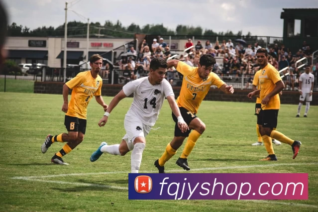 多媒体互动体验